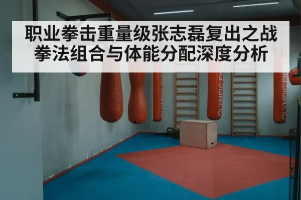 职业拳击重量级张志磊复出之战拳法组合与体能分配深度分析