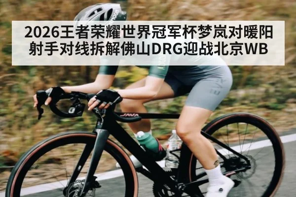 2026王者荣耀世界冠军杯梦岚对暖阳射手对线拆解佛山DRG迎战北京WB